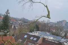 Plataan-1