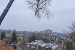 Plataan-3