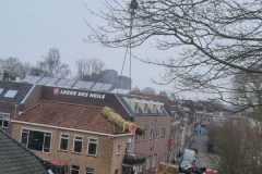 Plataan-7